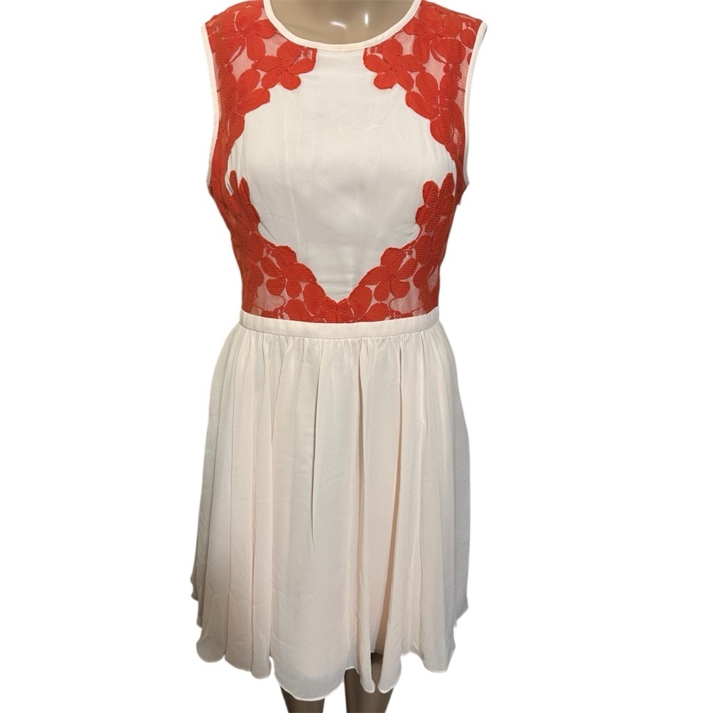 Ted Baker vember lace chiffon embroidered dress